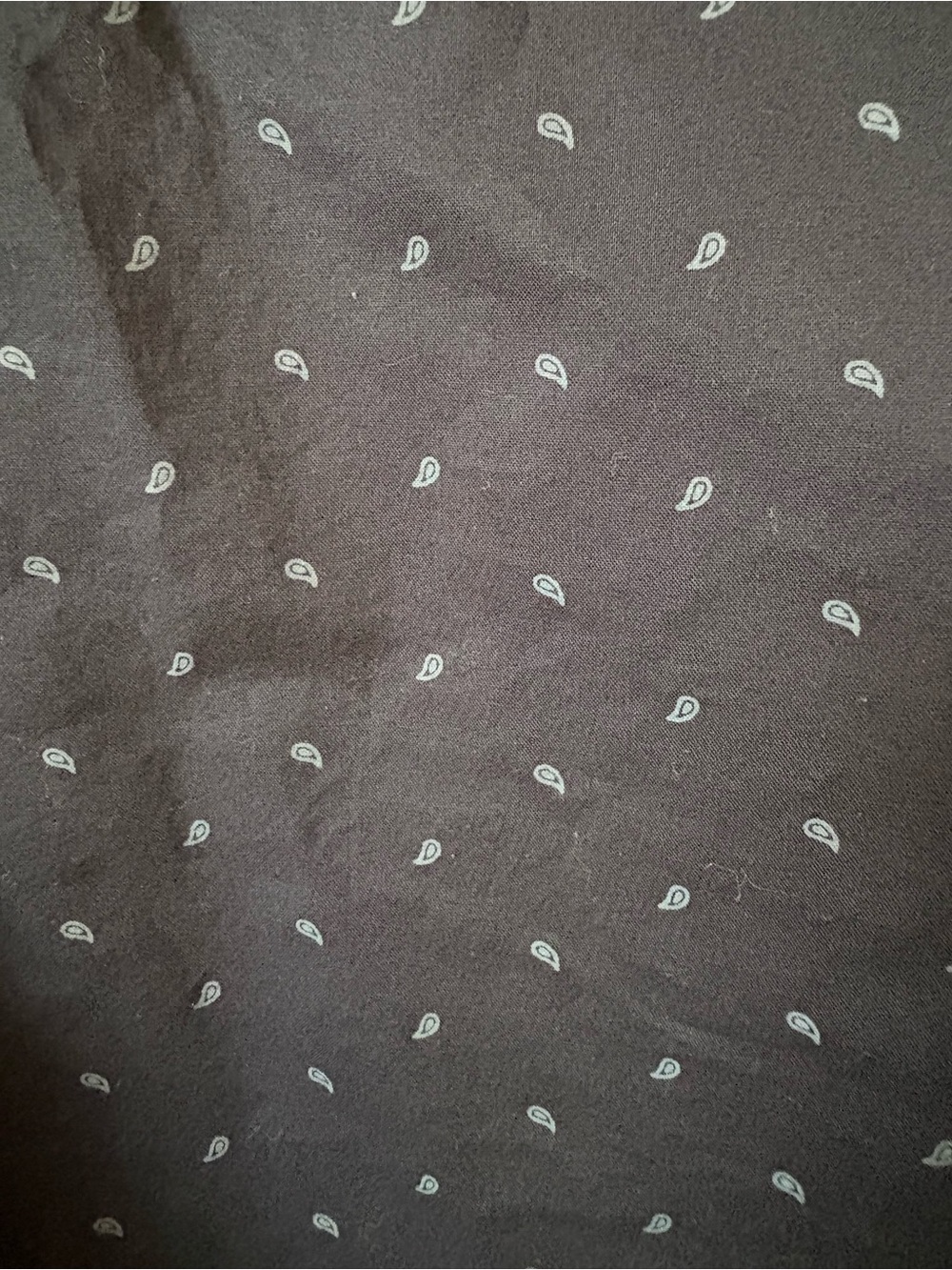 Y - Picture 5 of 9